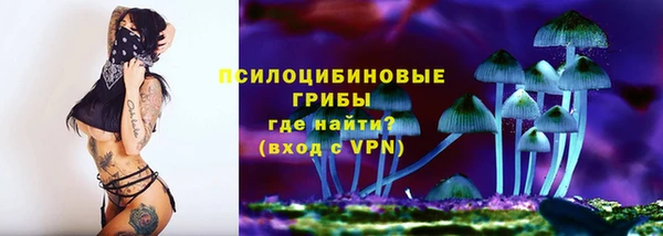 прущие крисы Володарск